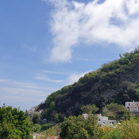 Sweet Home La Chicca Ischia Exterior photo