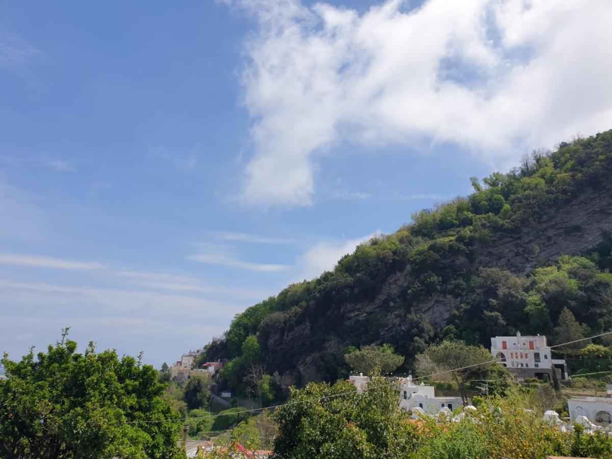 Sweet Home La Chicca Ischia Exterior photo