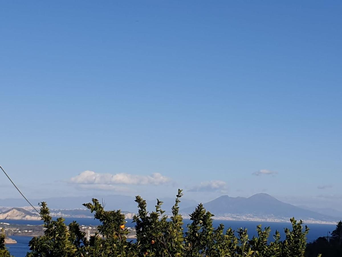 Sweet Home La Chicca Ischia Exterior photo